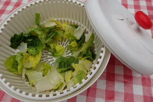 What Can I Use Instead of a Salad Spinner?