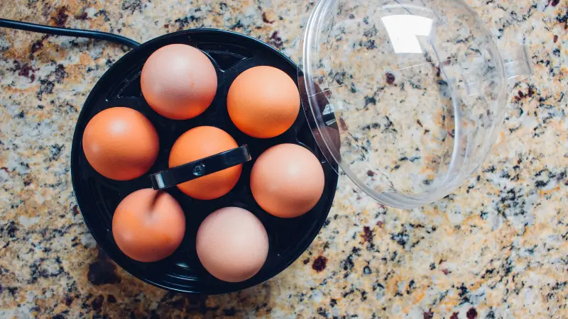 Are Egg Cookers Safe? BPA Free?